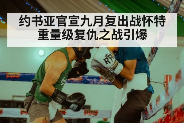 约书亚官宣九月复出战怀特 重量级复仇之战引爆